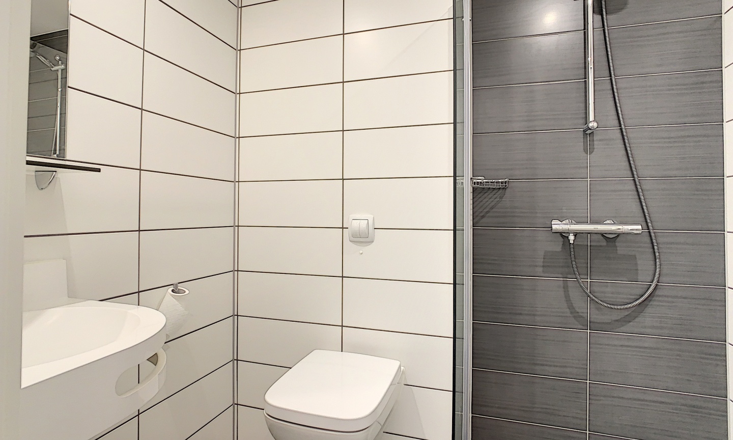 31 Porte de France, L-4360, ,1 Salle de bainsSalle de bain,Studio,Louer,Résidence GALILEO,Porte de France,2,1009